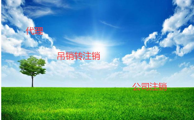 代办吊销转注销