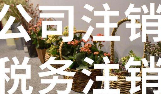 北京通州区一般人公司注销多钱