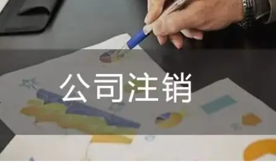  北京注销这个一般纳税人公司都要提交什么材料