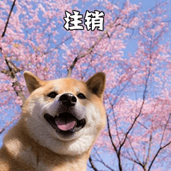 01C589B6.png