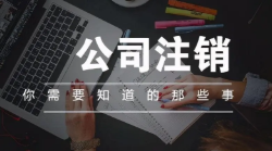 公司办注销都需要什么
