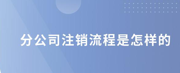 分公司办理注销